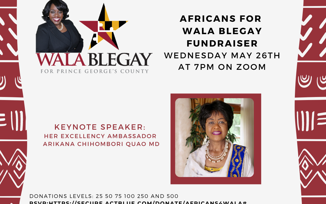 Africans for Wala Blegay Fundraiser